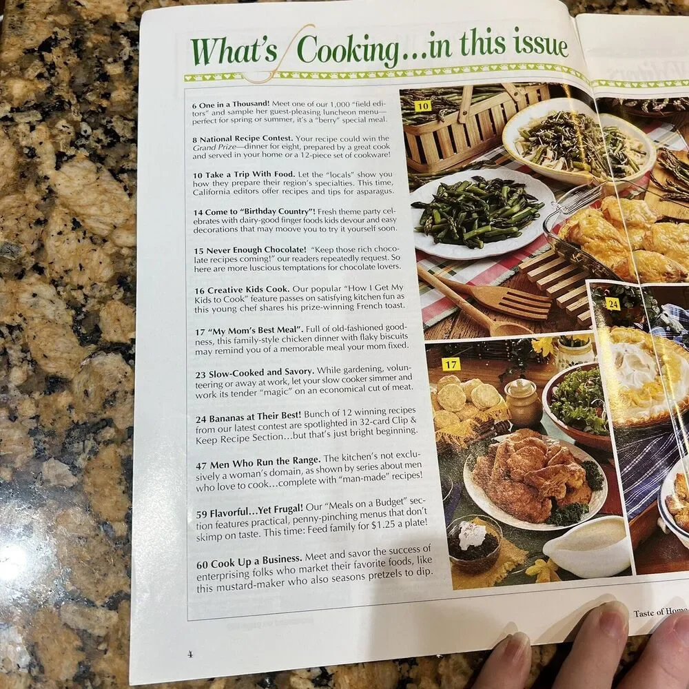 Taste of Home Magazine 1994 Collectors Edition Cooking Recipes